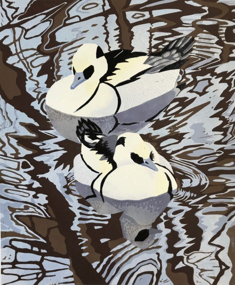 Smew by Lisa Hooper