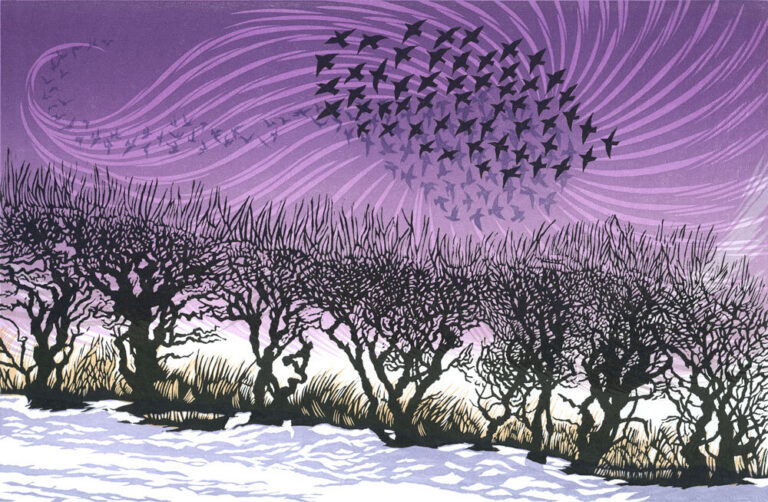 Starlings Rise by Niki Bowers