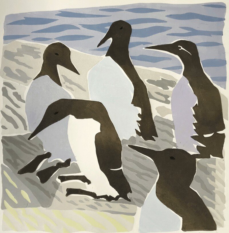 Sumburgh by Lisa Hooper