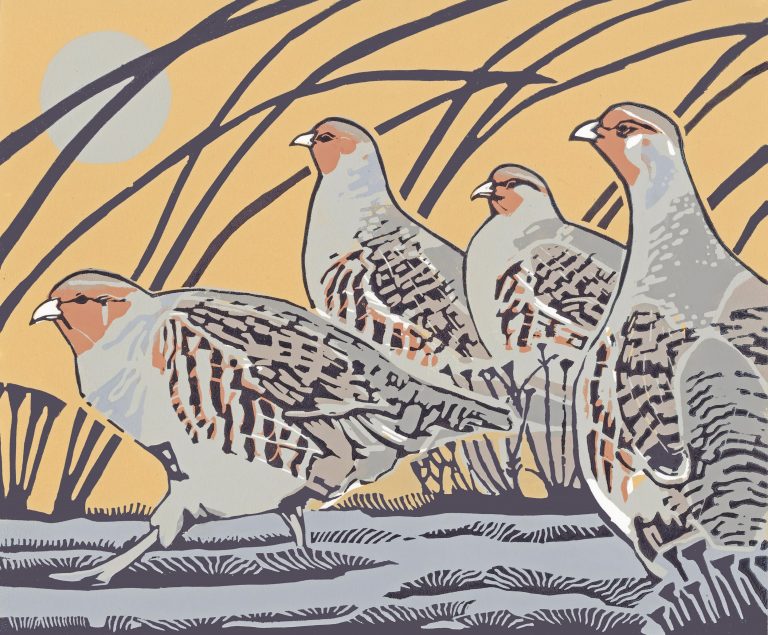 Wiggle Wiggle ed12  by Max Angus