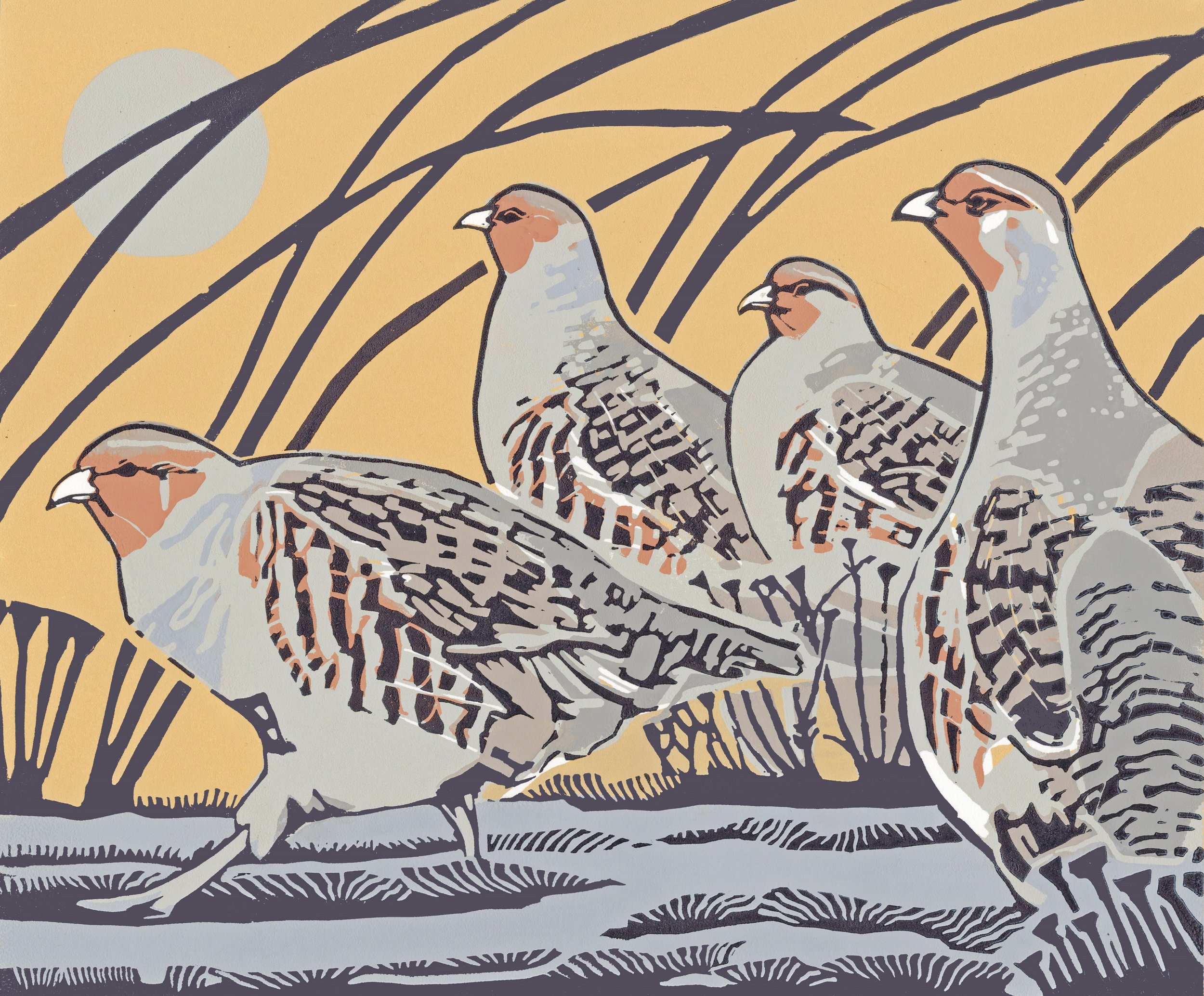 Wiggle Wiggle ed12  by Max Angus