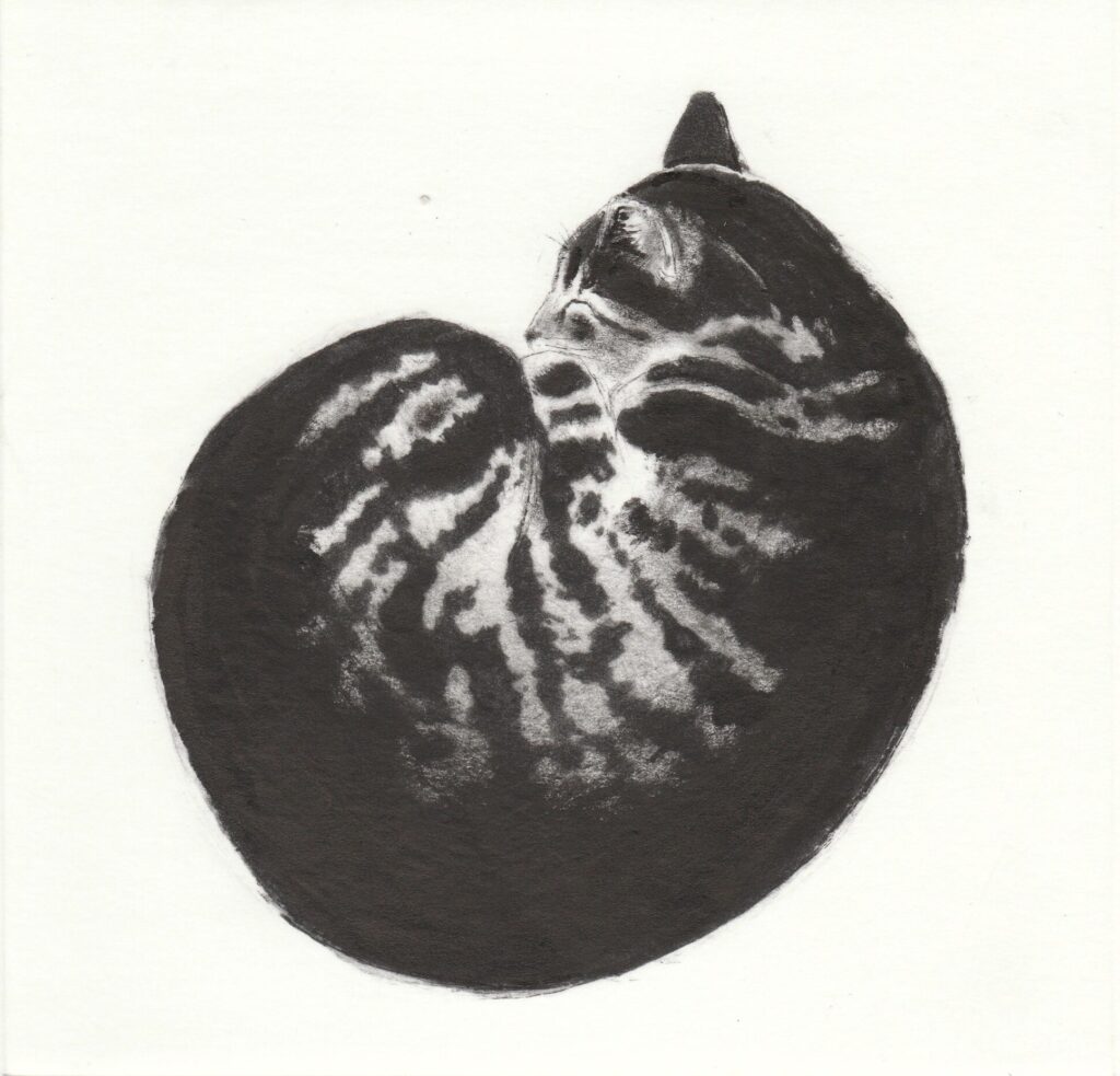 Kay McDonagh