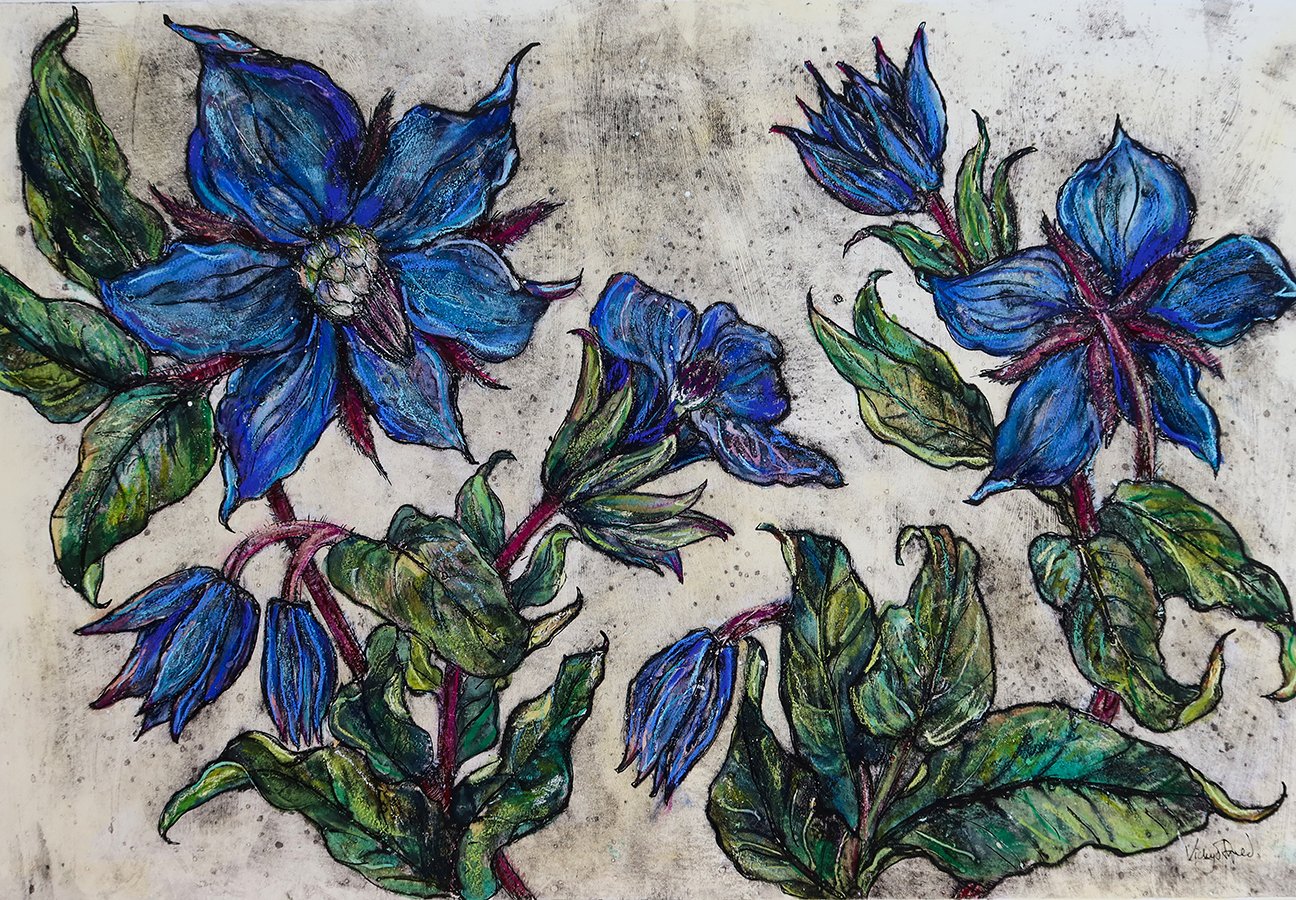 Borage to Lift the Spirits ed5 by Vicky Oldfield