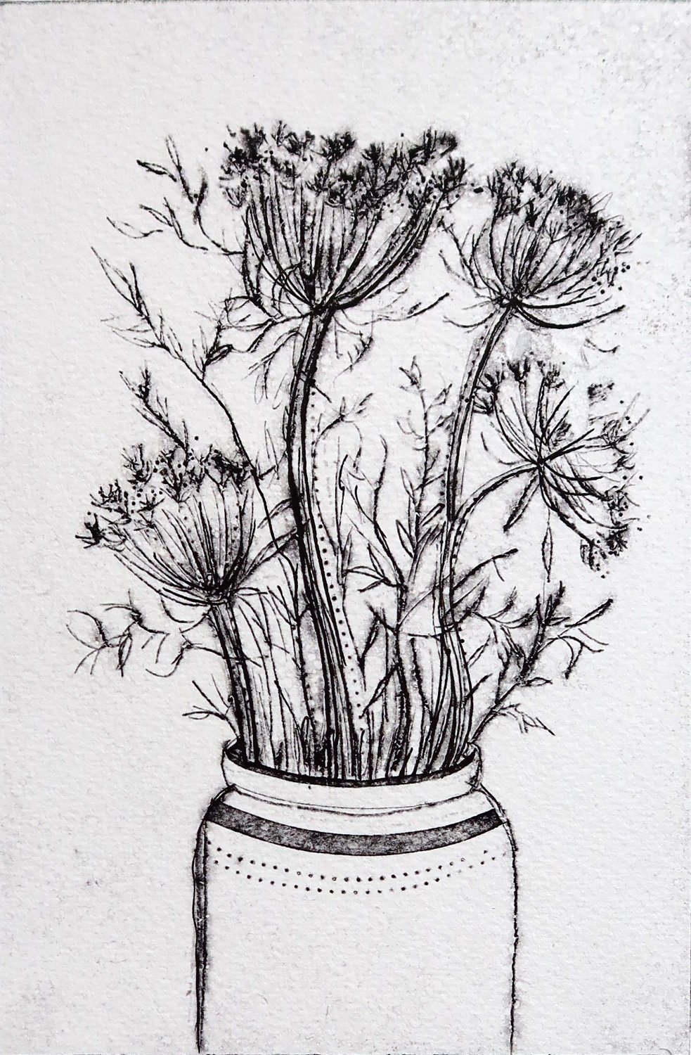 Carrot Flower Tangle by Vicky Oldfield