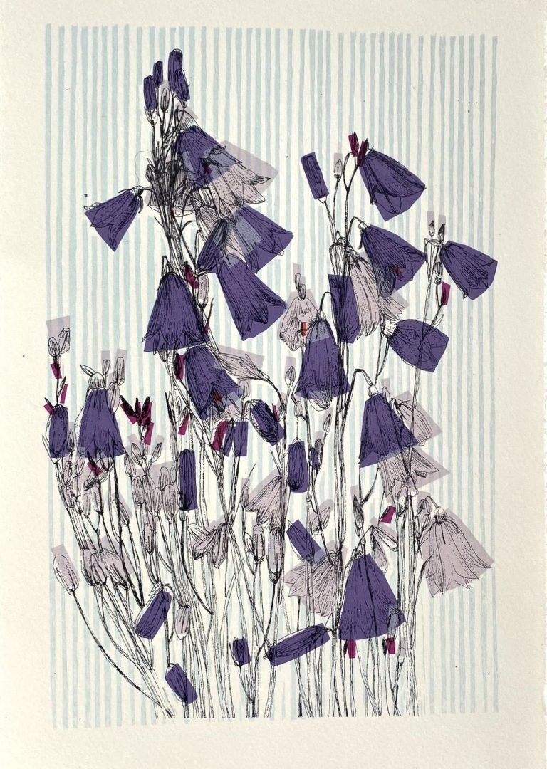 Swedish Harebell ed28 by Clare Halifax