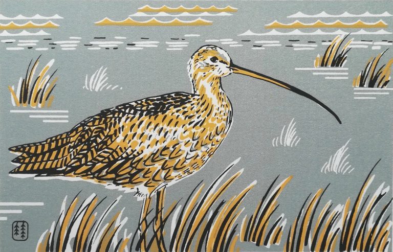 Unframed Curlew by Catherine Bowdler