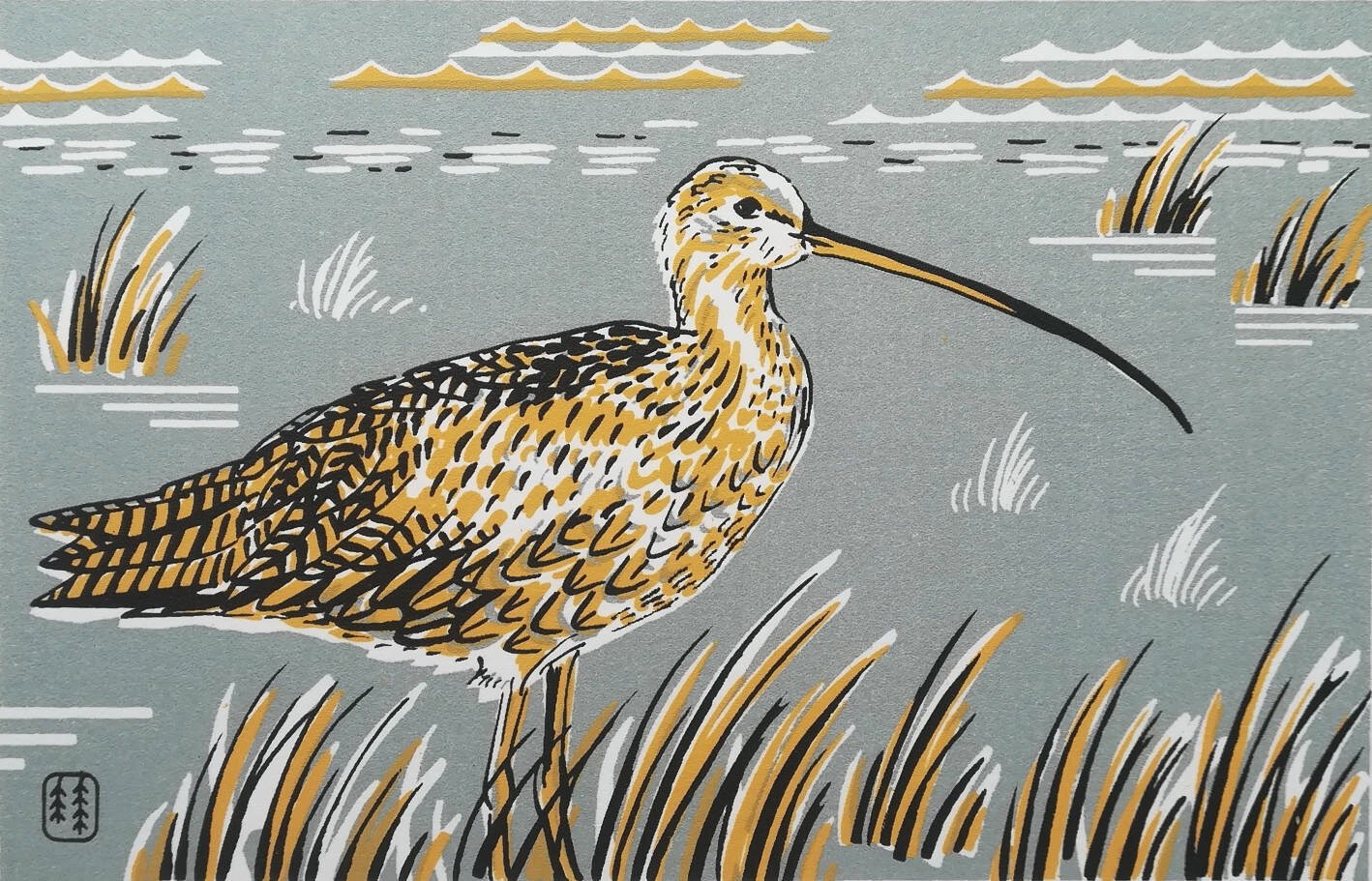 Unframed Curlew by Catherine Bowdler