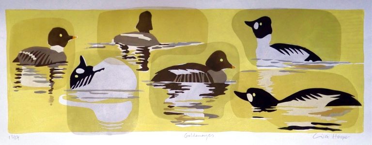 Goldeneyes ed13 by Lisa Hooper