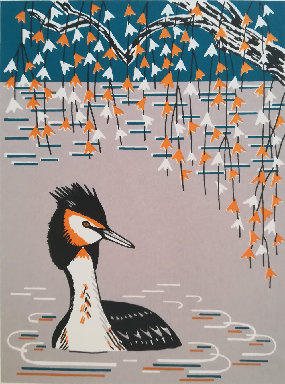 Unframed Great Crested Grebe by Catherine Bowdler