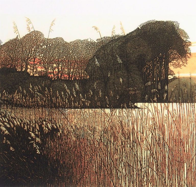 Late Light II by Phil Greenwood