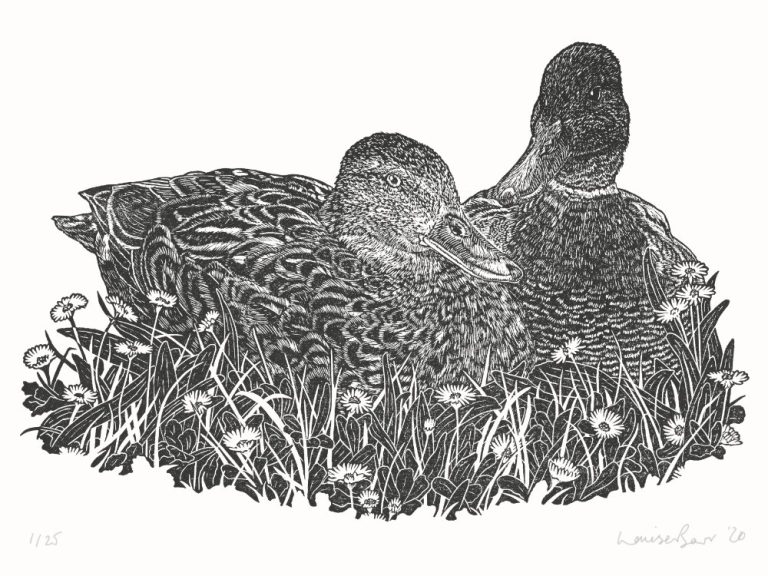 The Brace by Louise Barr