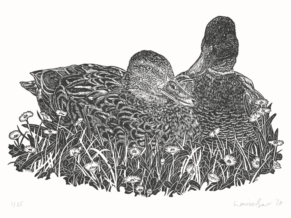 The Brace by Louise Barr