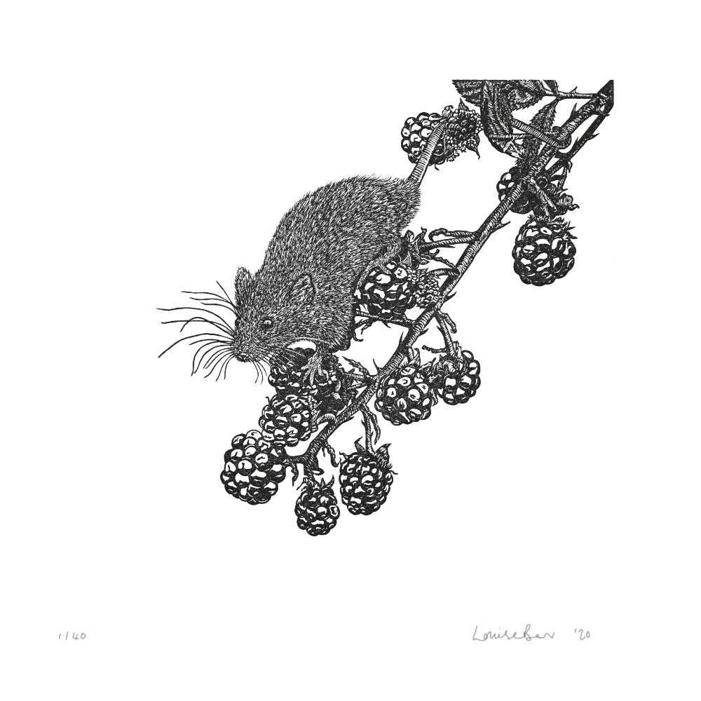 The Harvest by Louise Barr