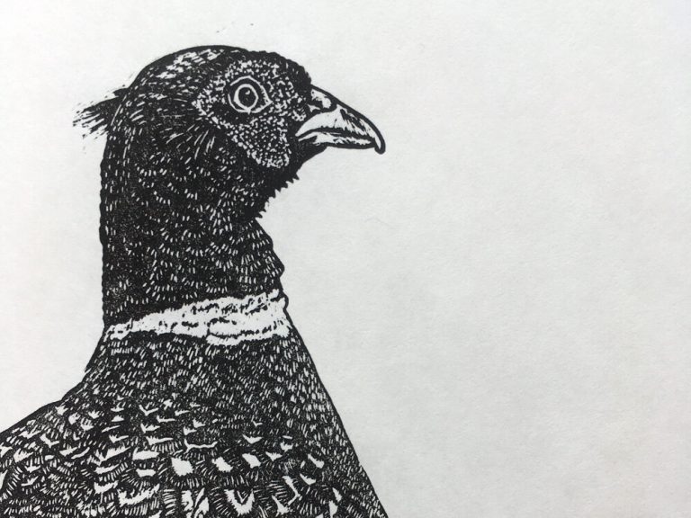 The Prize ed10 by Louise Barr