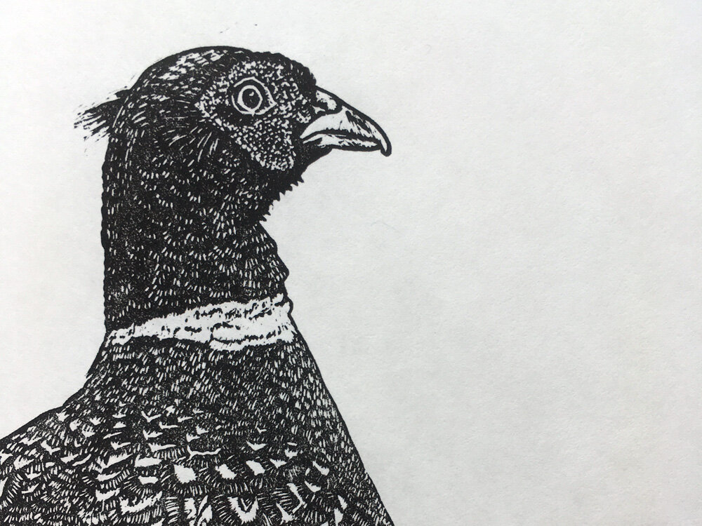 The Prize ed10 by Louise Barr