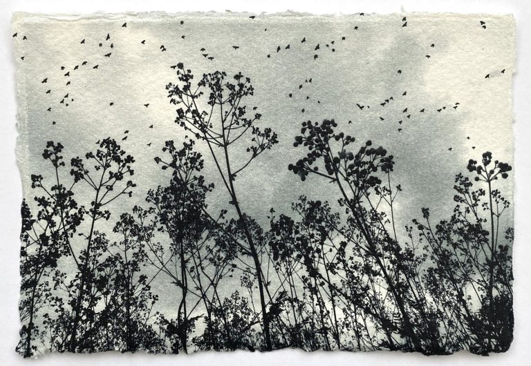 Summer Skies ed21 by Luella Martin