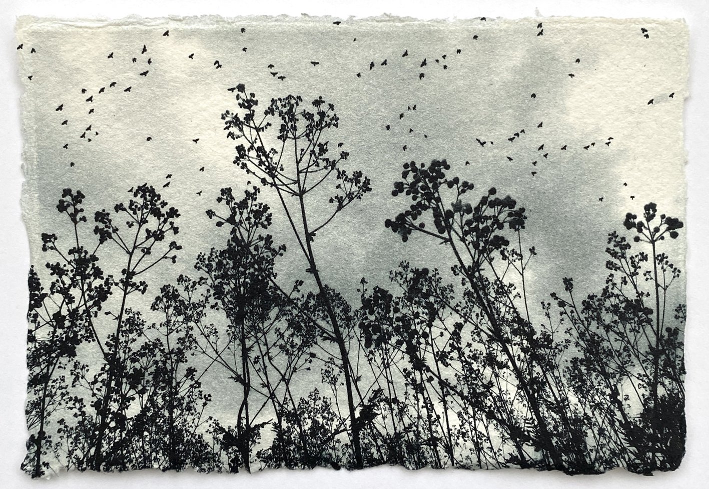 Summer Skies ed21 by Luella Martin