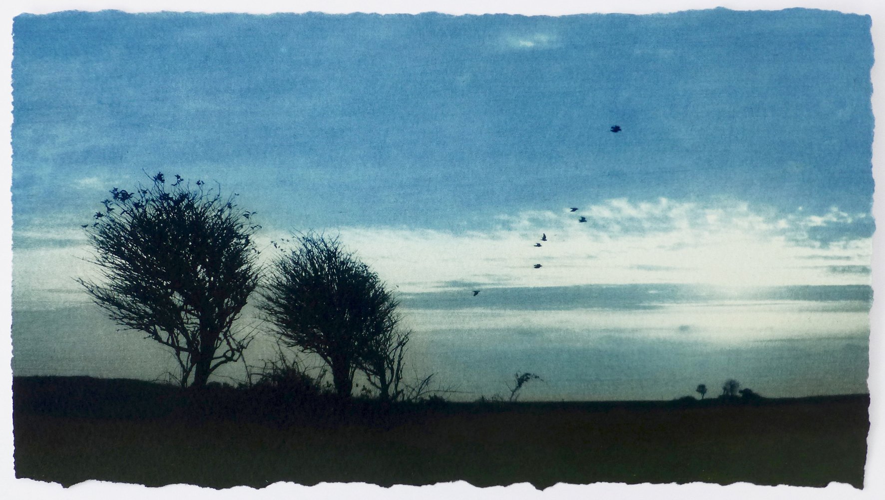 Two Trees by Luella Martin