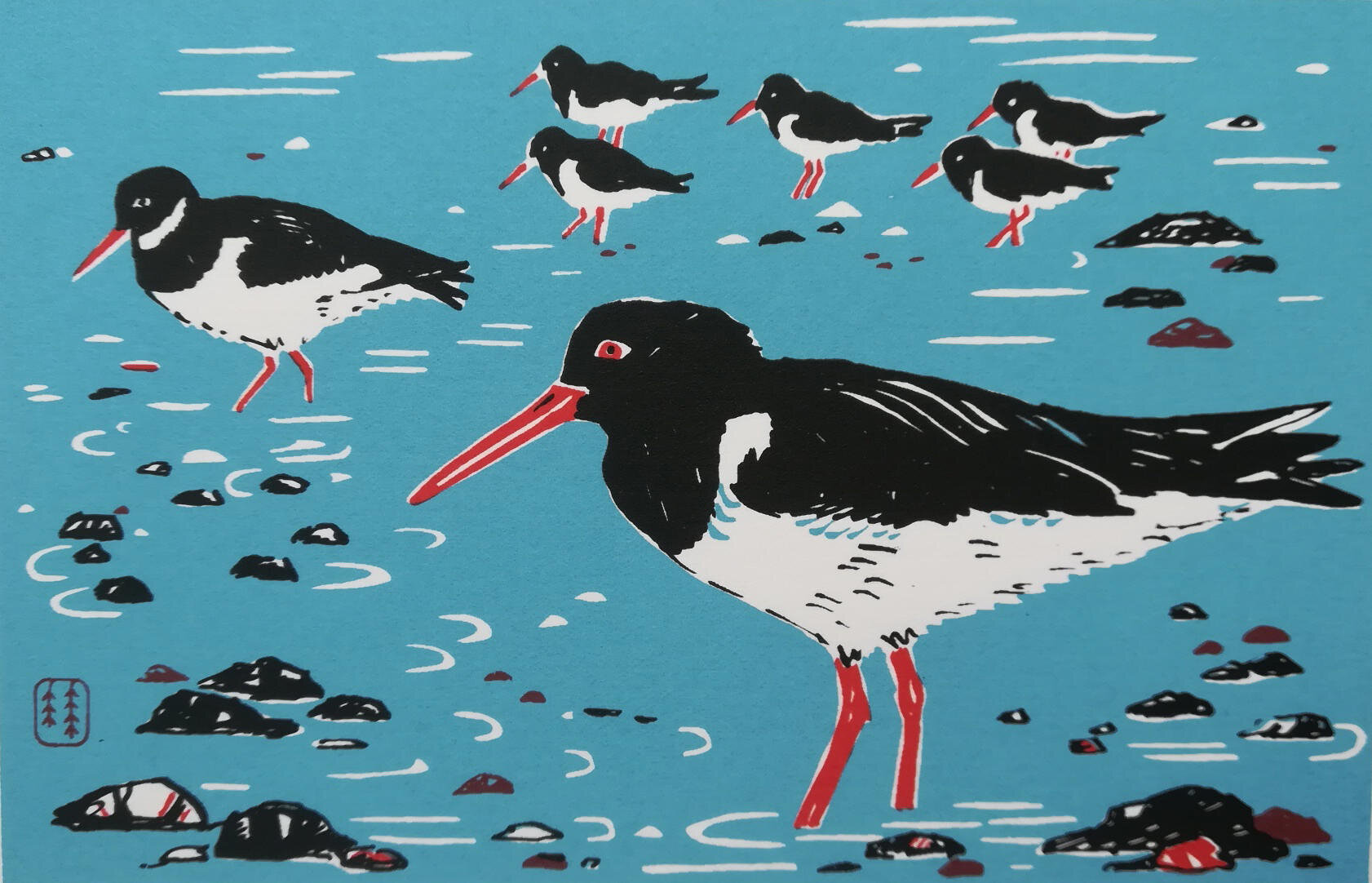 Oystercatchers ed115 by Catherine Bowdler
