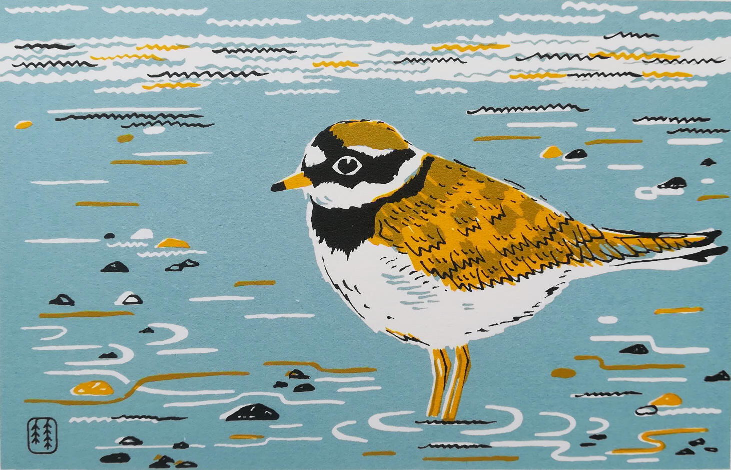 Unframed Ringed Plover by Catherine Bowdler