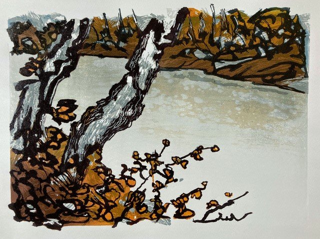 Riverwise II ed9 by Ian Phillips