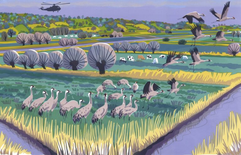 Level Cranes ed6 by Carry Akroyd