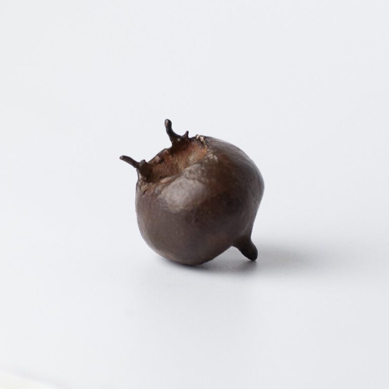 Medlar Raw Bronze V by Alice-Andrea Ewing