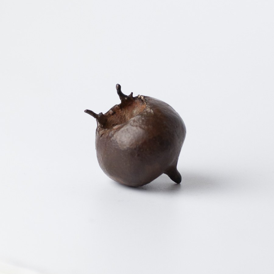 Medlar Raw Bronze V by Alice-Andrea Ewing