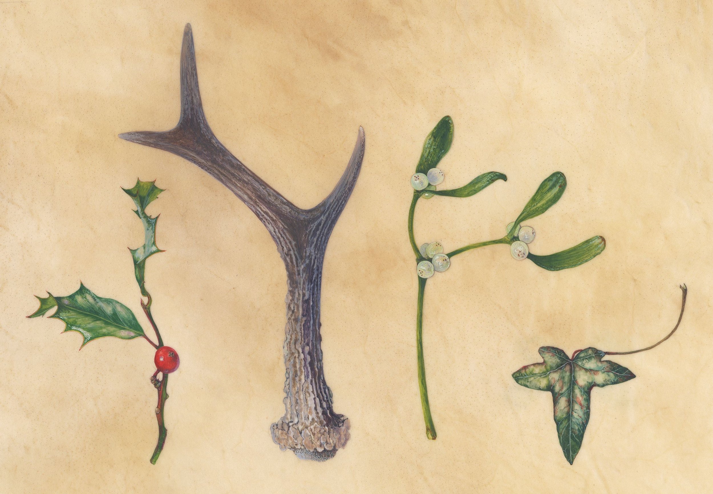 Antler and Winter Objects by Gael Sellwood