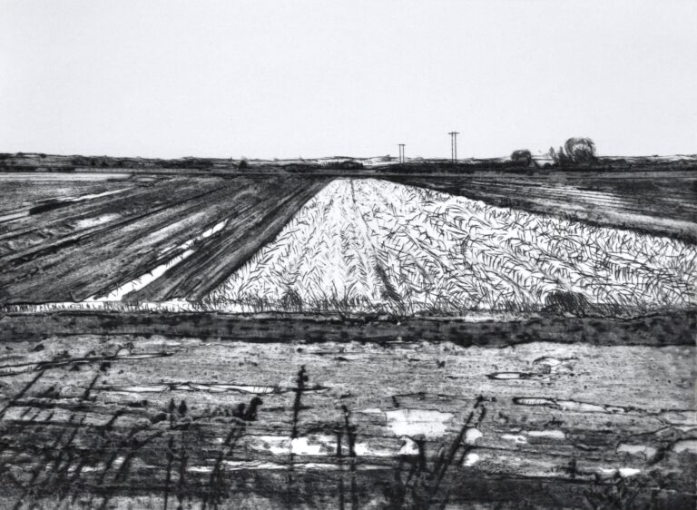 Harrow The Earth State II ed3 by Iona Howard