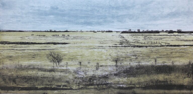 Washland ed5 by Iona Howard