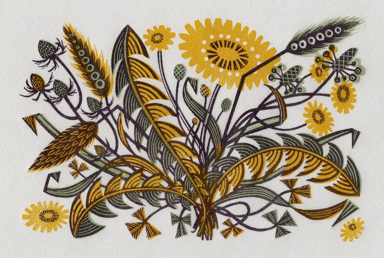 Dandelion Track I ed50 by Angie Lewin
