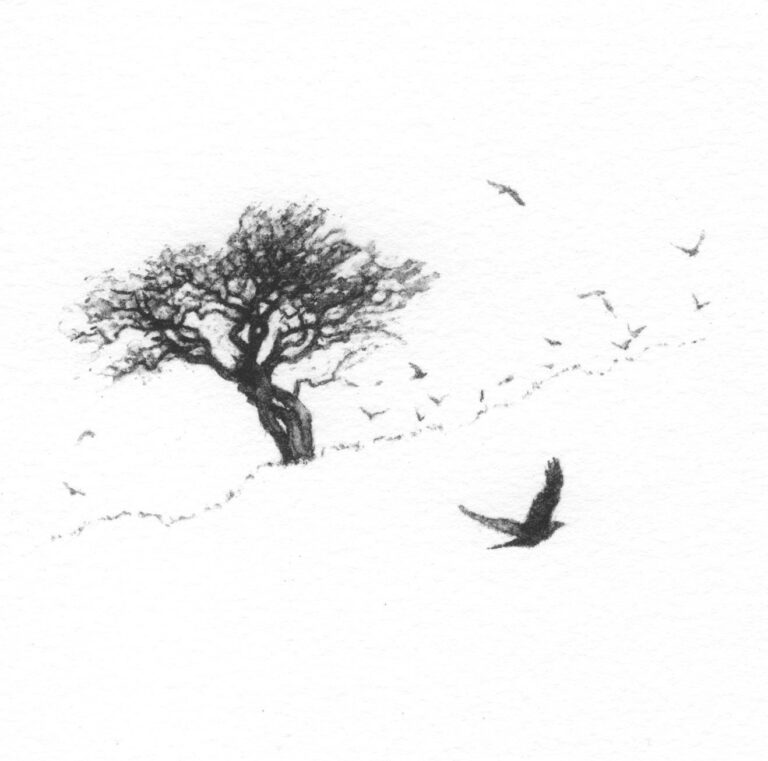 Take Flight by Alan Stones