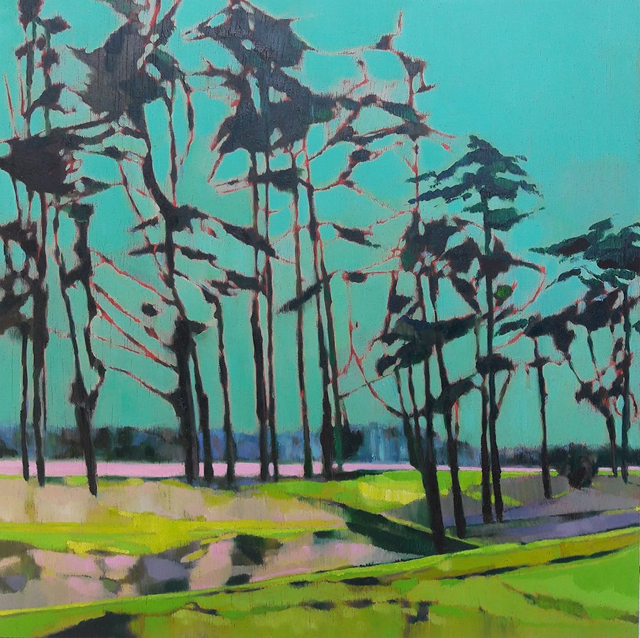 The Shapes of Thetford Pines by Ruth Bunnewell