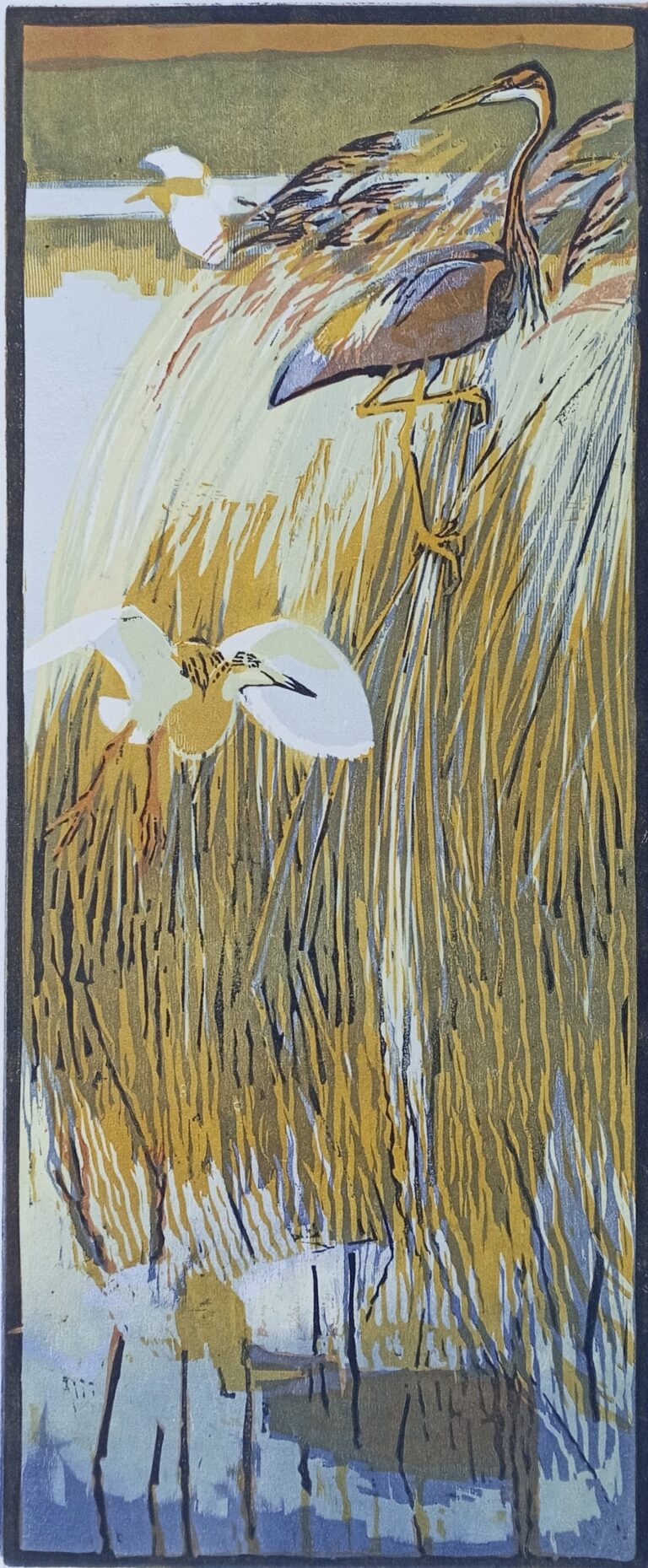 Purple and Squacco Herons ed5 by Robert Greenhalf