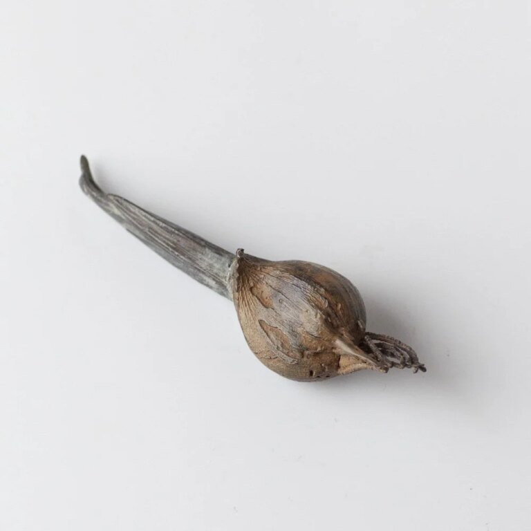 Iris Bulb 2 by Alice-Andrea Ewing
