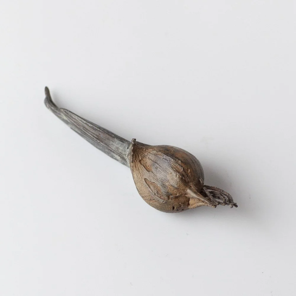 Iris Bulb 2 by Alice-Andrea Ewing