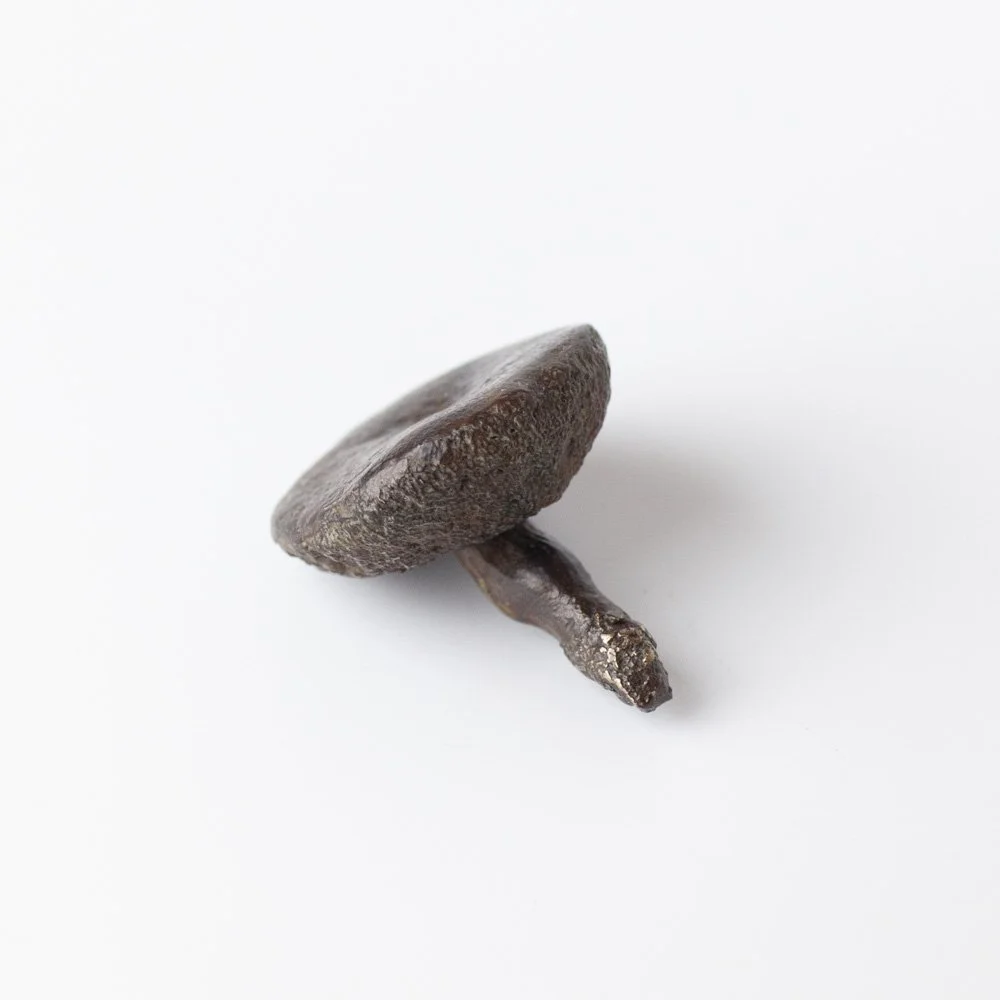 Medium Bolete Mushroom 1 by Alice-Andrea Ewing