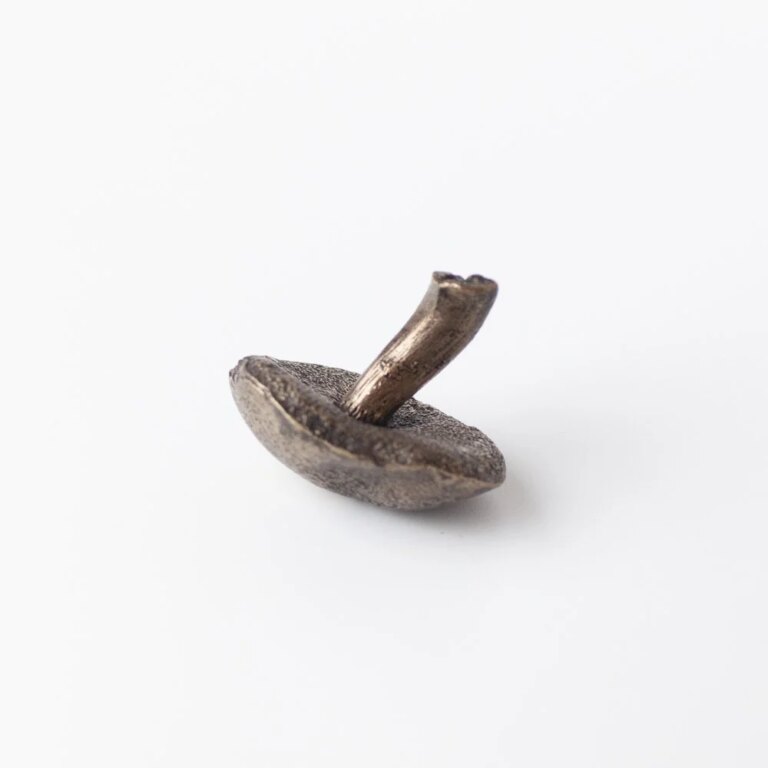 Medium Bolete Mushroom Raw Bronze by Alice-Andrea Ewing