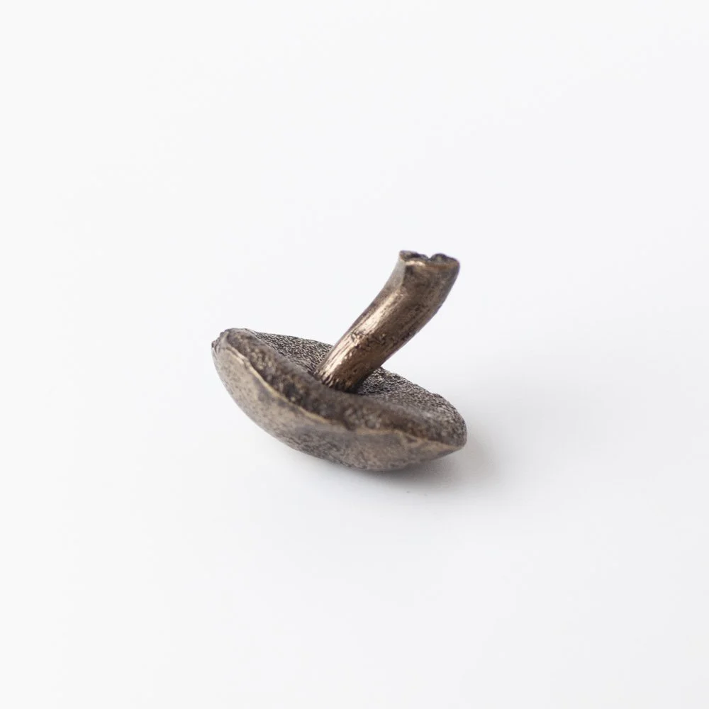 Medium Bolete Mushroom Raw Bronze by Alice-Andrea Ewing