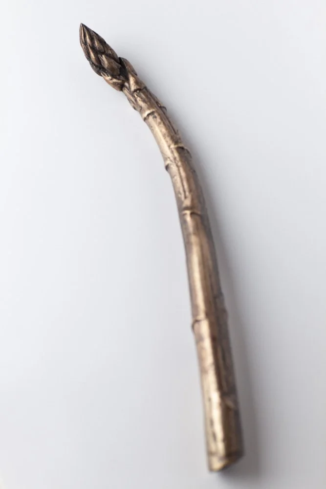 Jumbo Asparagus Raw Bronze 1 by Alice-Andrea Ewing