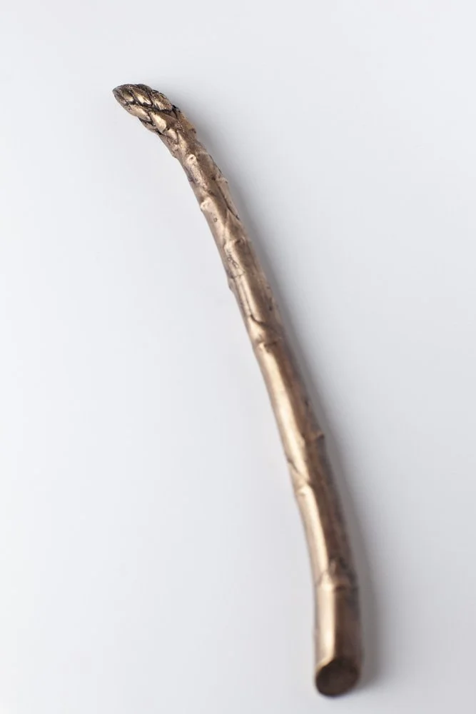 Jumbo Asparagus Raw Bronze 2 by Alice-Andrea Ewing