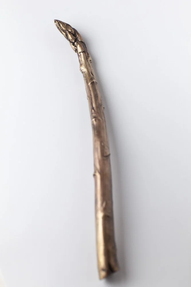 Jumbo Asparagus Raw Bronze 3 by Alice-Andrea Ewing