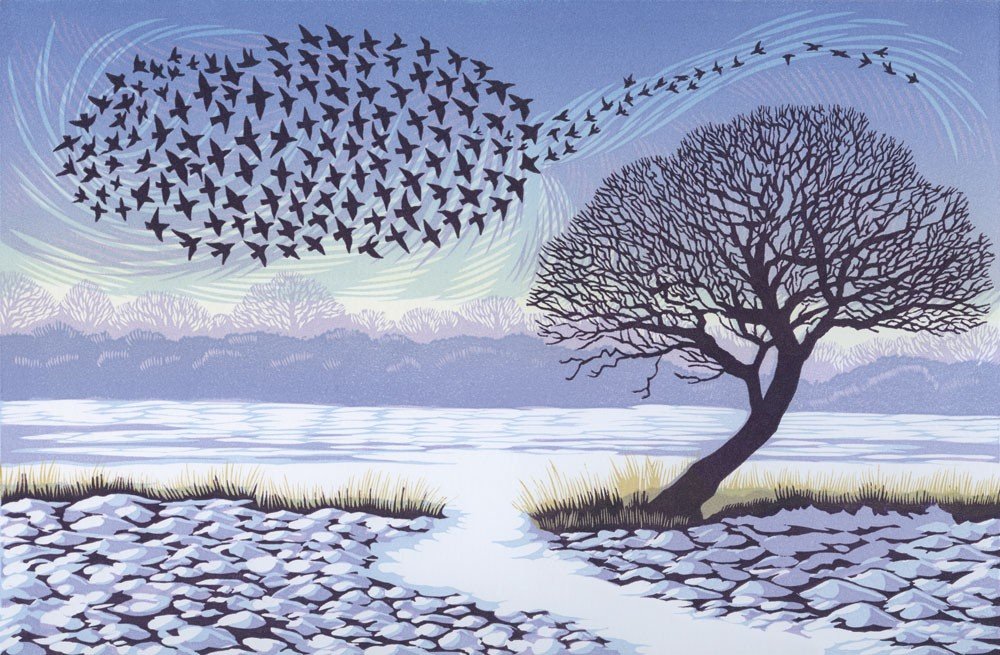 Curved Oak Starlings (NEW!) by Niki Bowers