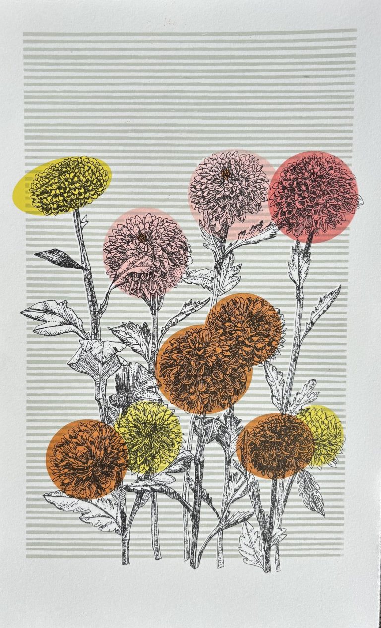 Japanese Chrysanthemum by Clare Halifax