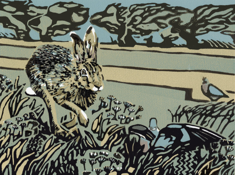 Hare and the Sweet Meadow ed12 by Max Angus