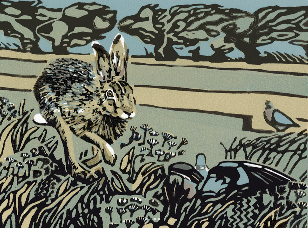 Hare and the Sweet Meadow ed12 by Max Angus