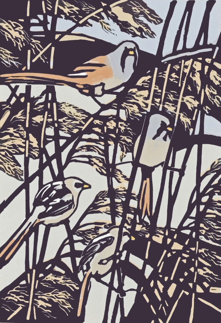 Ping Ping, Ping Pinged AP by Max Angus