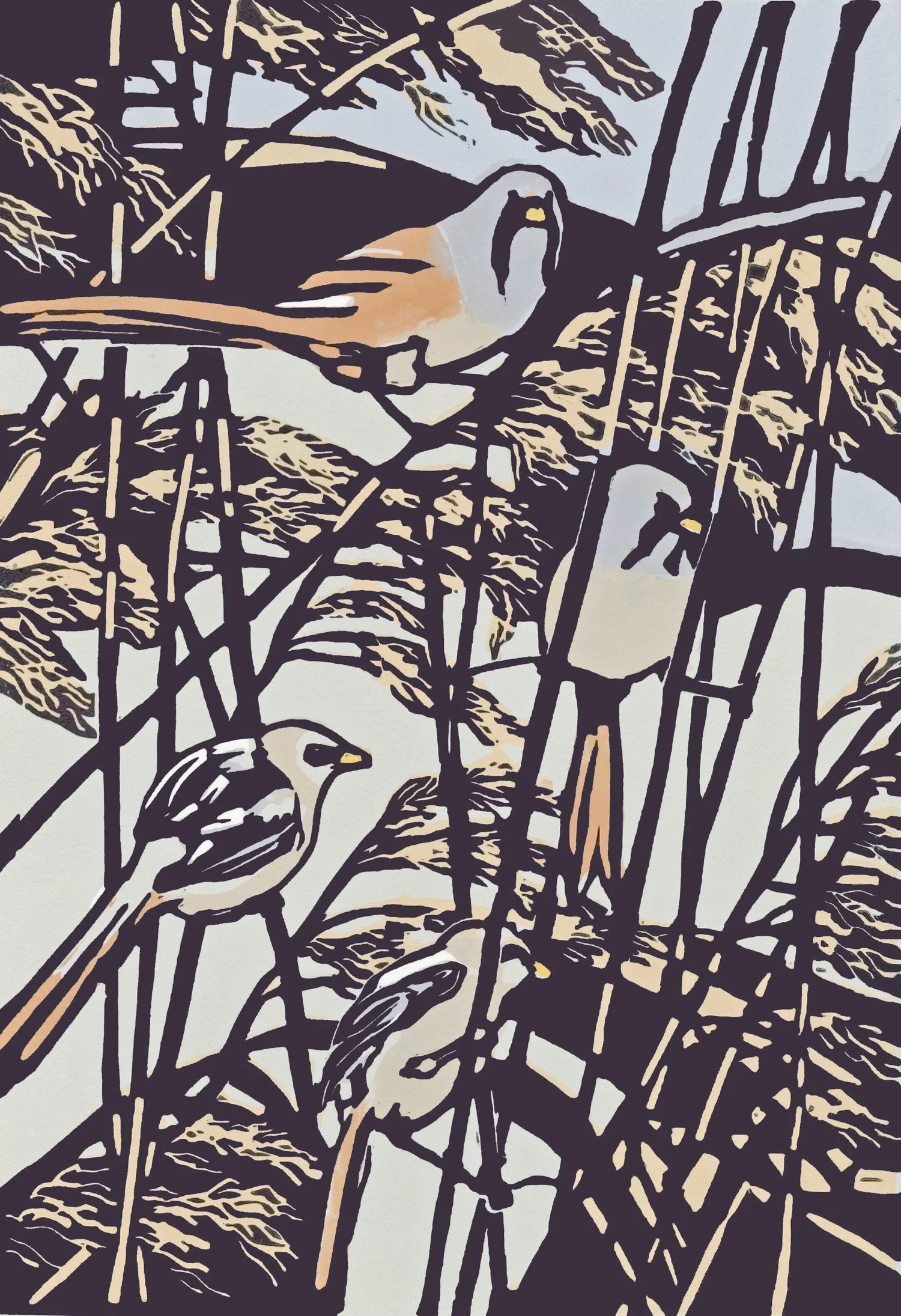 Ping Ping, Ping Pinged AP by Max Angus