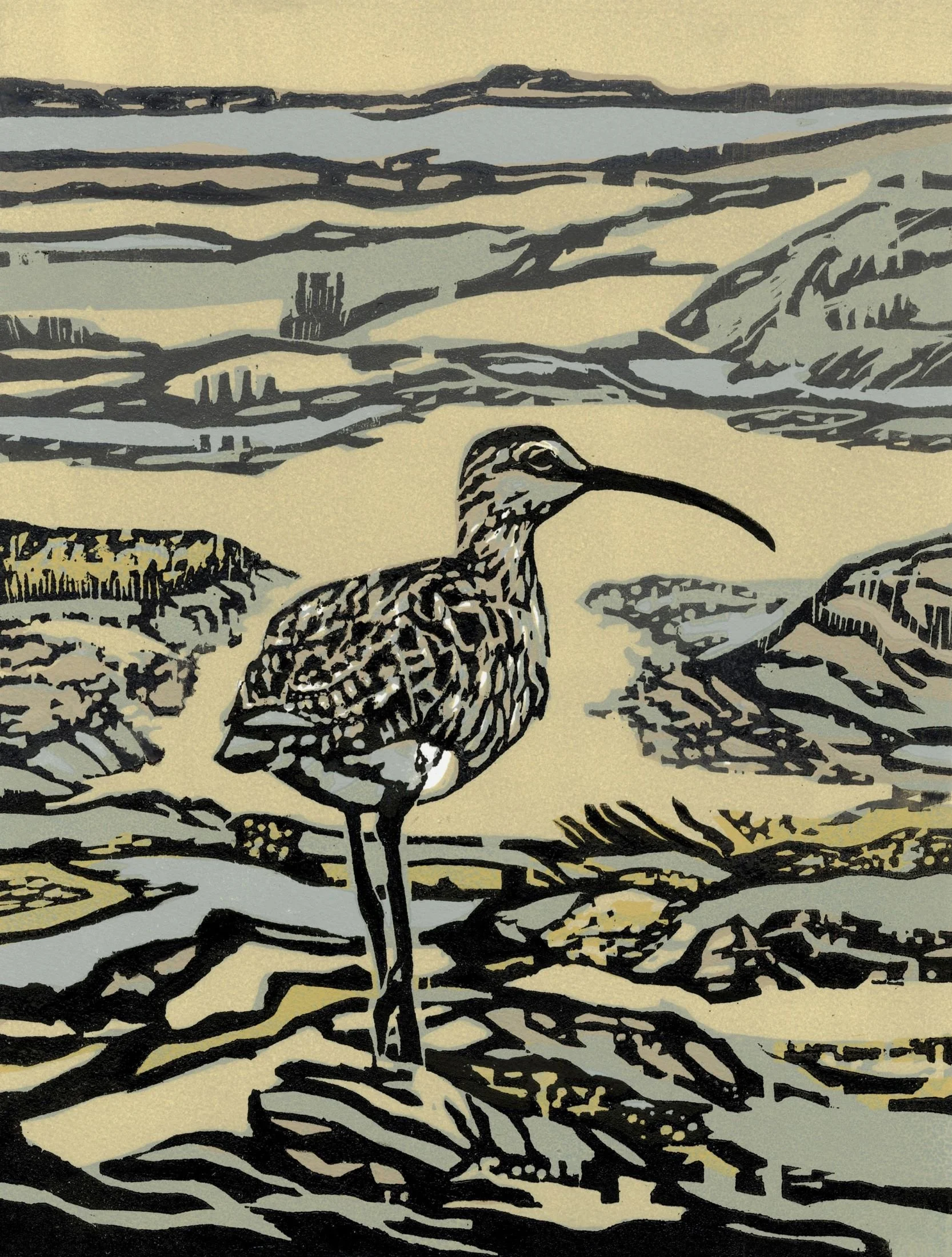 Whistler (Whimbrel) ed12 by Max Angus